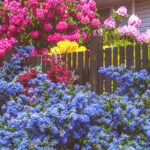 gardening