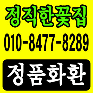 장례식장 안내